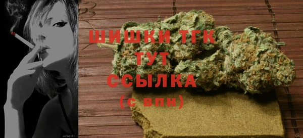 сатива Абинск