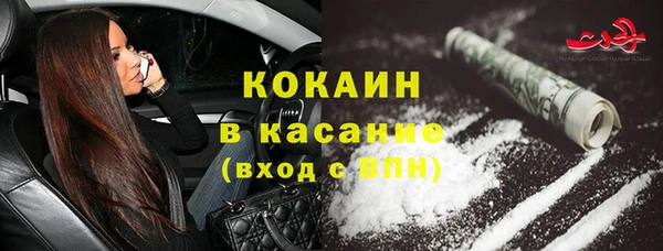 сатива Абинск
